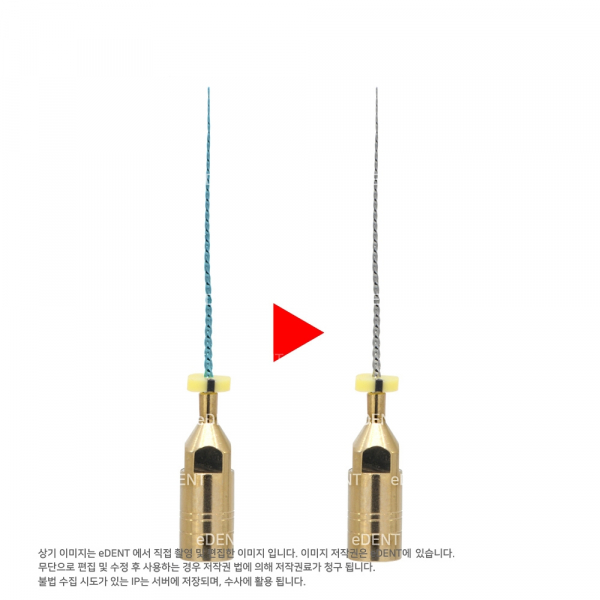 (주)이덴트 치과재료·치과의약품 전문,[1+1] ENDOSONIC Blue Tip
